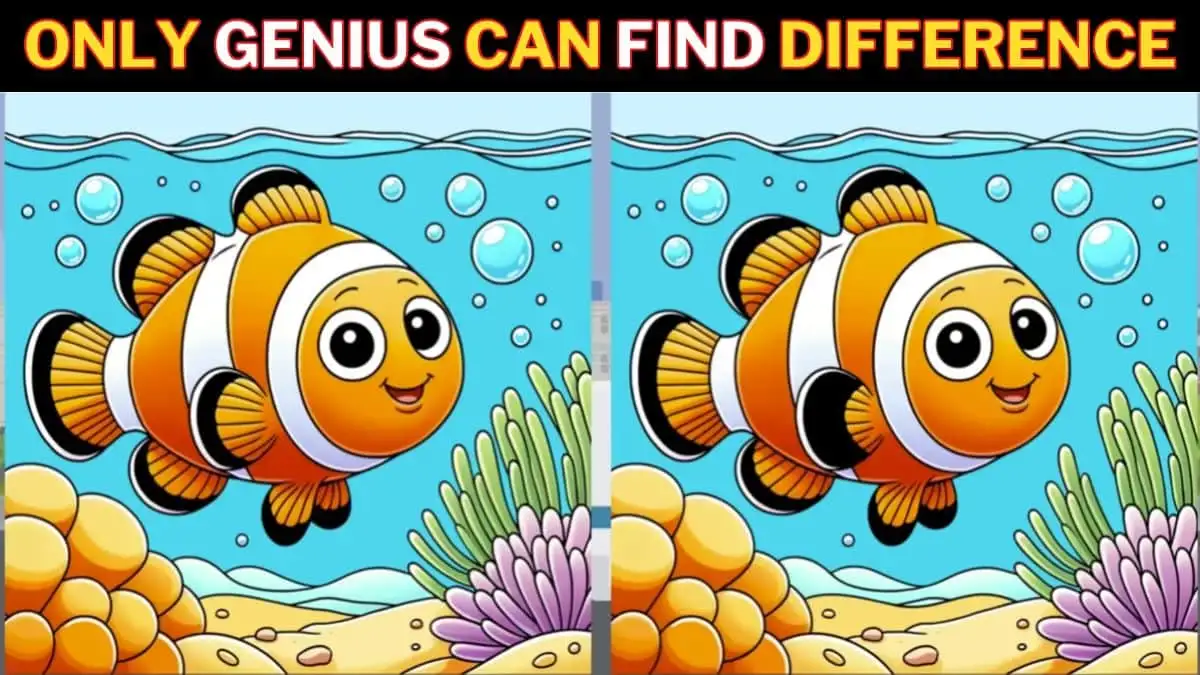 Spot the Difference Game: Only a genius with Sharp eyes can find the 3 Differences in this Nemo Picture in 10 Secs