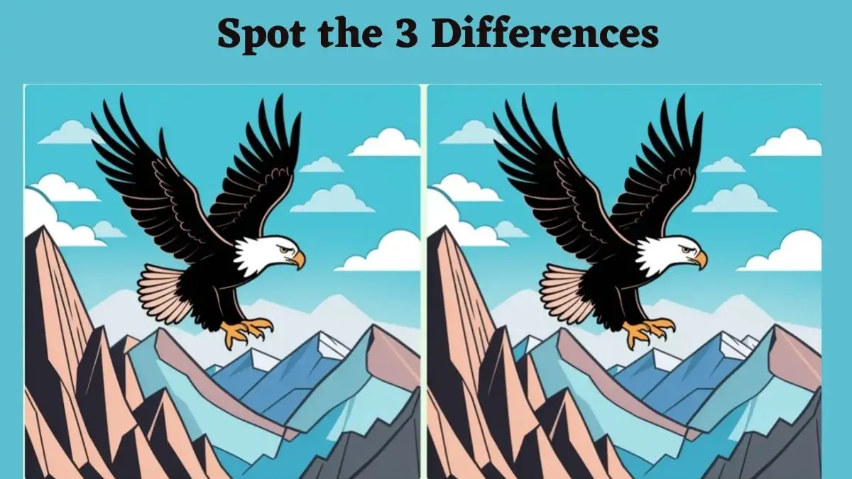 Spot the Difference Game: Only Strongest Vision Can Spot the 3 Differences in this Eagle Picture in 10 Secs