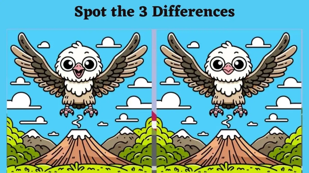 Spot the Difference Picture Puzzle Game: Are you sharp enough to spot 3 differences in this Owl Image in 12 Secs