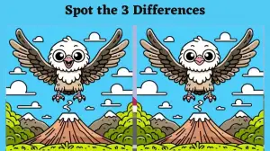 Spot the Difference Picture Puzzle Game: Are you sharp enough to spot 3 differences in this Owl Image in 12 Secs