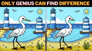 Spot the Difference Picture Puzzle Game: Only a genius with hawk eyes can find the 3 Differences in this Flamingo Picture in 12 Secs