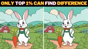 Spot the Difference Picture Puzzle Game: Only a genius with Sharp eyes can find the 3 Differences in this Rabbit Picture in 12 Secs?