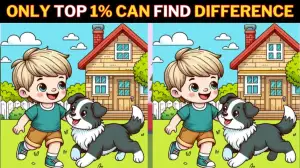 Spot the Difference Picture Puzzle Game: Only the most attentive pair of eyes can find the 3 Differences in this Image in 12 Secs