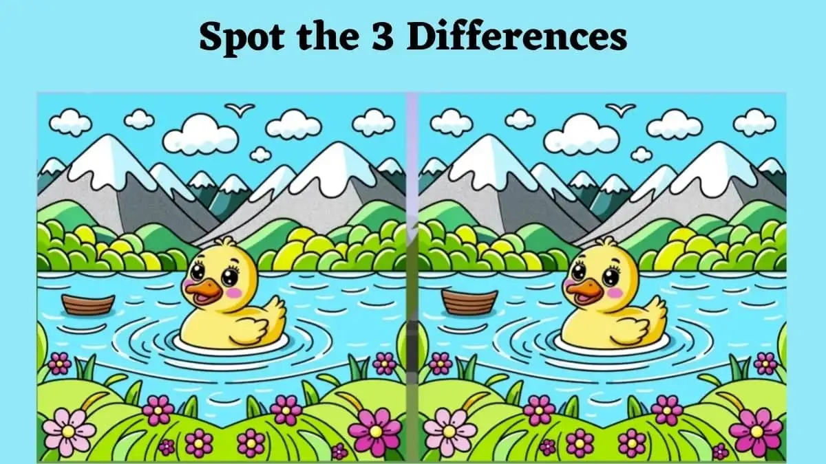 Spot the Difference Picture Puzzle: Only Eagle Eyes Can Spot the 3 Differences in the Duck Image in 12 Secs