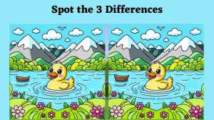 Spot the Difference Picture Puzzle: Only Eagle Eyes Can Spot the 3 Differences in the Duck Image in 12 Secs