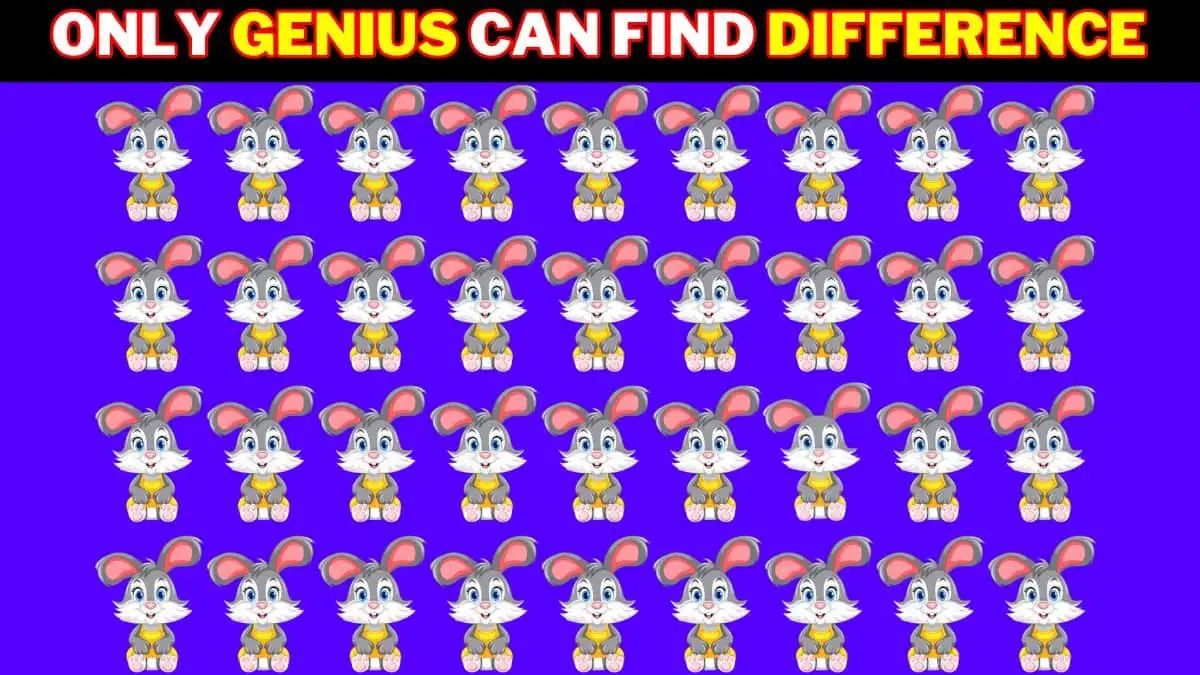 Test your brain power by finding the odd Rabbit in 5 seconds!