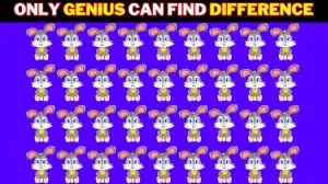 Test your brain power by finding the odd Rabbit in 5 seconds!