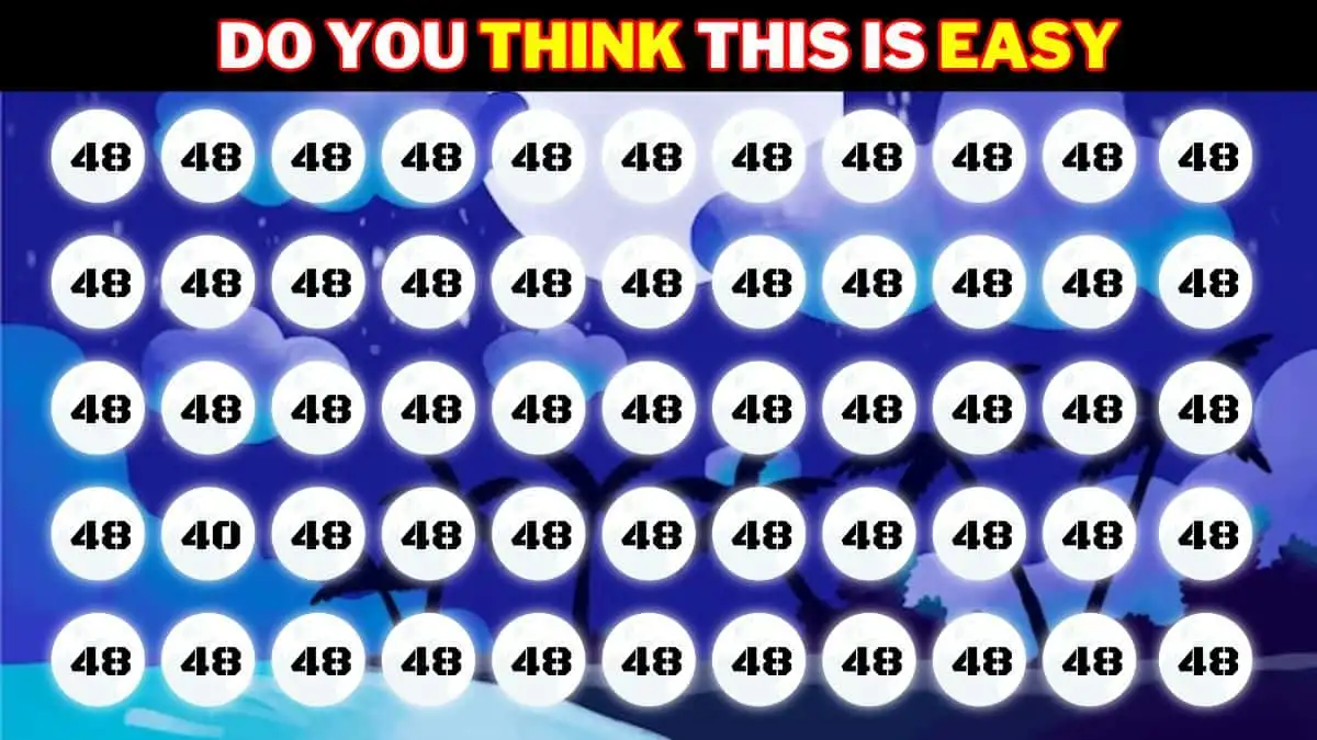 Visual Test: Only 1% With Super Vision Can Spot The Number 48 among 40 in 8 Secs