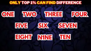 Brain Teaser Challenge: Find the Difference if You Have Eagle Eyes