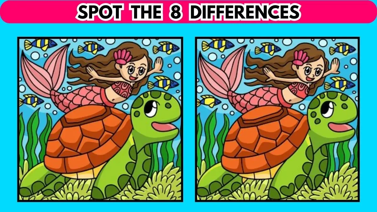 Brain Teaser: If You Have Sharp Eyes Find 8 Differences in 10 Secs