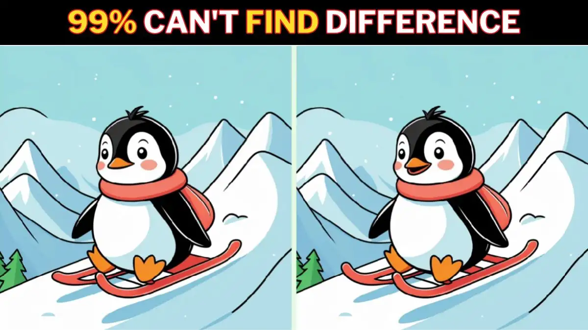 Brain Teaser Spot the Difference Game: Only a genius with Eagle eyes can find the 3 Differences in this Penguin Picture in 12 Secs