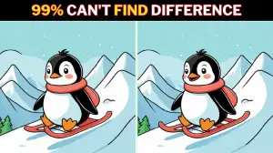 Brain Teaser Spot the Difference Game: Only a genius with Eagle eyes can find the 3 Differences in this Penguin Picture in 12 Secs