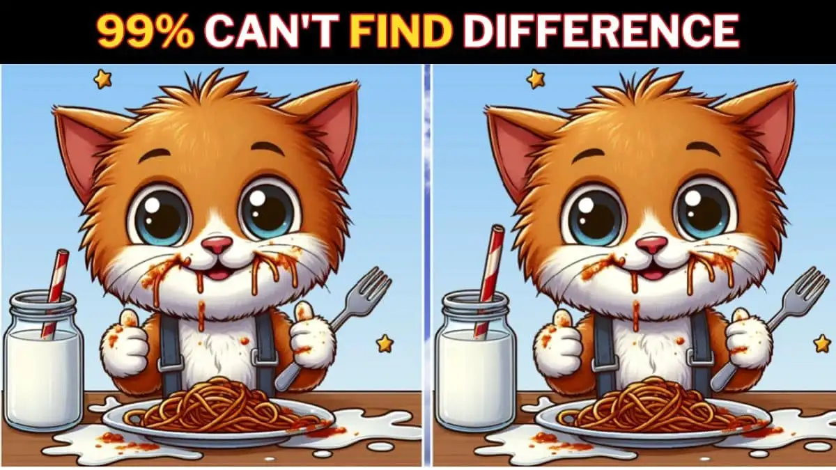 Brain Teaser Spot the Difference Game: Only a genius with Sharp eyes can find the 3 Differences in this Cat Eating Noodles Picture in 14 Secs