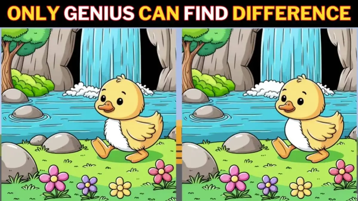 Brain Teaser Spot the Difference Game: Only the sharpest-eyed people can spot 3 Differences in the Duck Picture in 12 Secs?