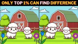 Brain Teaser Spot the Difference Game: Only those with a high IQ can spot the 3 differences in these 2 Lambs pictures within 12 seconds