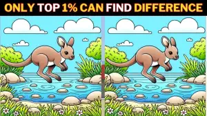 Brain Teaser Spot the Difference Game: Only the most attentive pair of eyes can find the 3 Differences in this Kangaroo Picture in 10 Secs