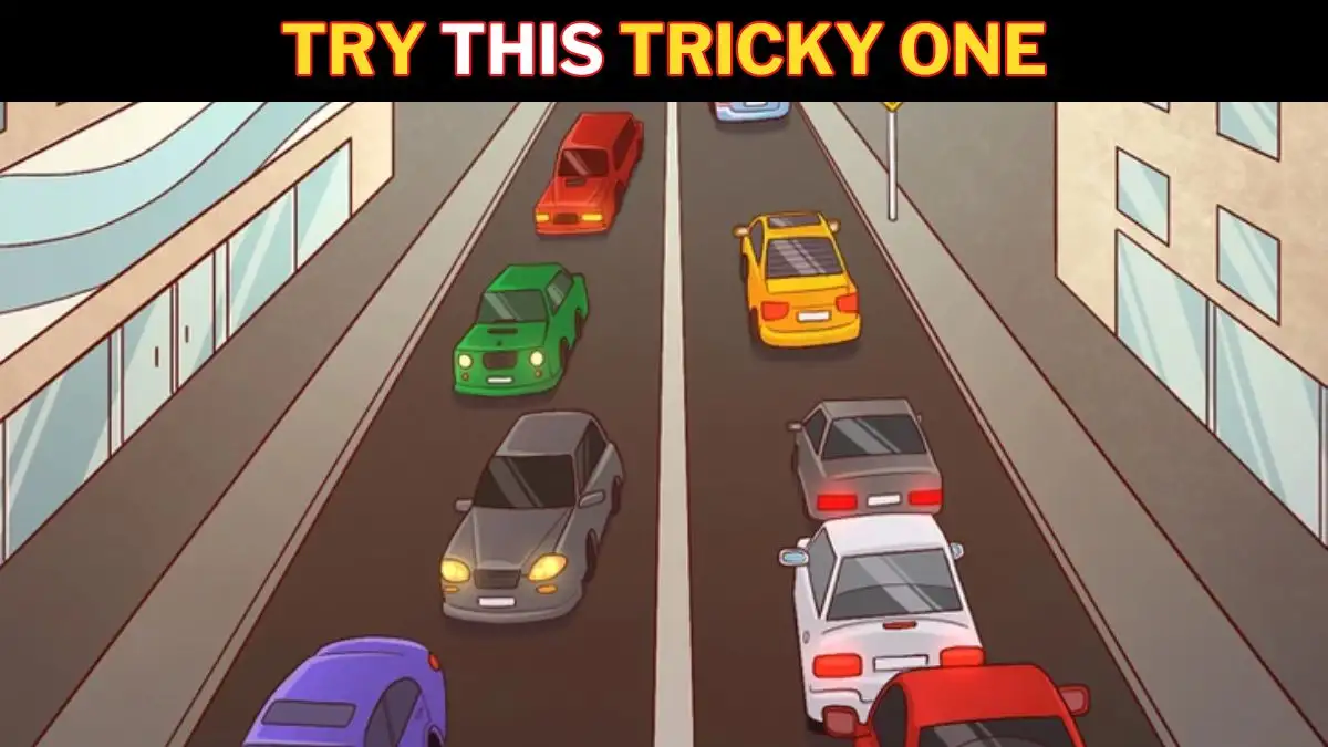 Genius IQ Test: Can you Spot the Mistake in this Traffic Road Picture in 6 Secs