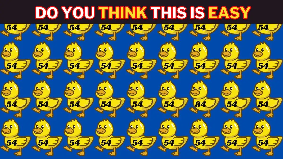 Genius IQ Test: Only the Most Brilliant Minds Can Spot the Number 84 Among 54 in 5 Secs