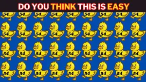 Genius IQ Test: Only the Most Brilliant Minds Can Spot the Number 84 Among 54 in 5 Secs