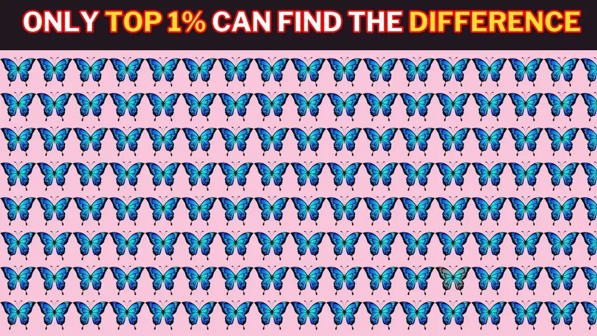 Observation Visual Challenge: Only Sharp Vision People Can Spot the odd Butterfly in 7 Secs