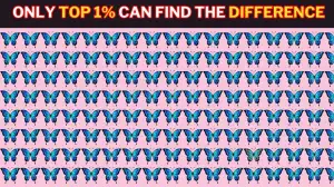 Observation Visual Challenge: Only Sharp Vision People Can Spot the odd Butterfly in 7 Secs