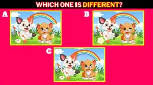 Observation Visual Test: Find the Difference if You Have Keen Eyes