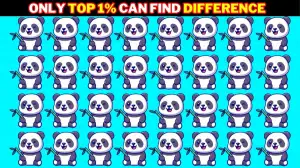 Optical Illusion Brain Test: Can You Spot the Odd Panda Hidden In the Picture Within 6 secs?