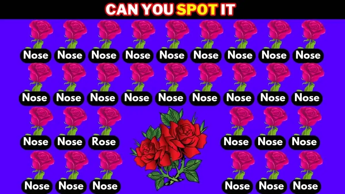 Optical Illusion Eye Test: Only 10% of people can spot the Word Rose in 9 Secs