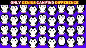 Optical Illusion: Only 2% People Can Find the Different Penguin in 10 Seconds