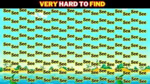 Optical Illusion: Only 2% People Can Find the Word Sea Among See