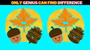 Optical Illusion: Only Genius Can Find the Difference