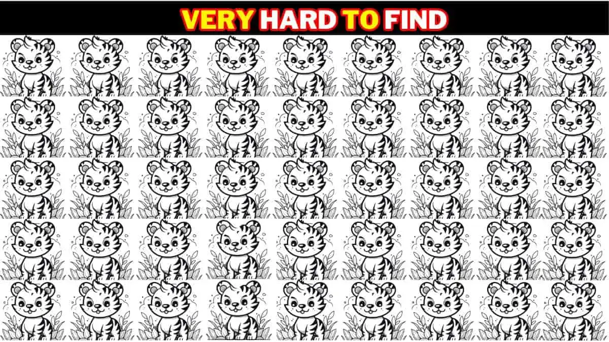 Optical Illusion: Sharp Eyes People Can Find the Odd Cub in 8 Seconds