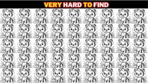 Optical Illusion: Sharp Eyes People Can Find the Odd Cub in 8 Seconds