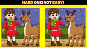 Optical Illusion Spot the Difference Game: Only Genius with Sharp Eyes Can Spot the 5 Differences in this Girl and Reindeer Image in 10 Secs