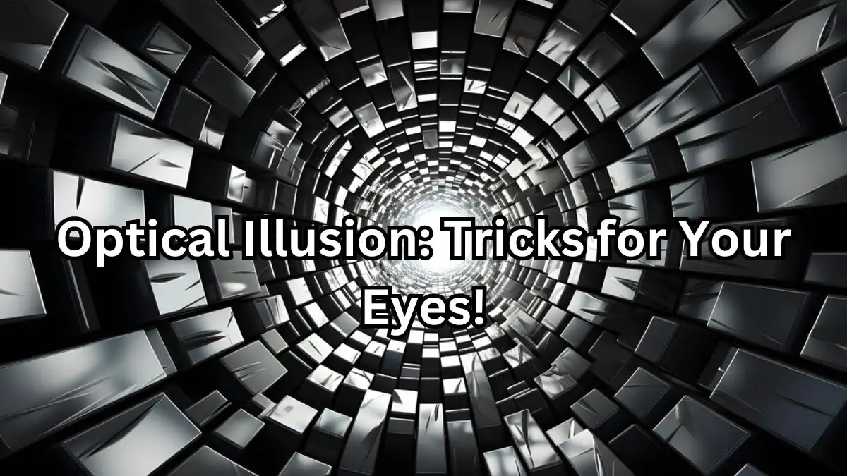 Optical Illusion: Tricks for Your Eyes!