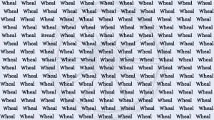 Optical Illusion Visual Test: If You Have Sharp Eyes Find The Word Wheel in 5 Secs