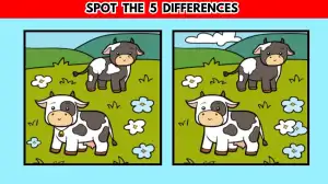 Spot the Difference: Find 5 Differences to Know How is Your Vision