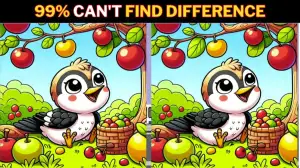 Spot the Difference Game: Only a genius with Eagle eyes can find the 3 Differences in this Bird Picture in 12 Secs