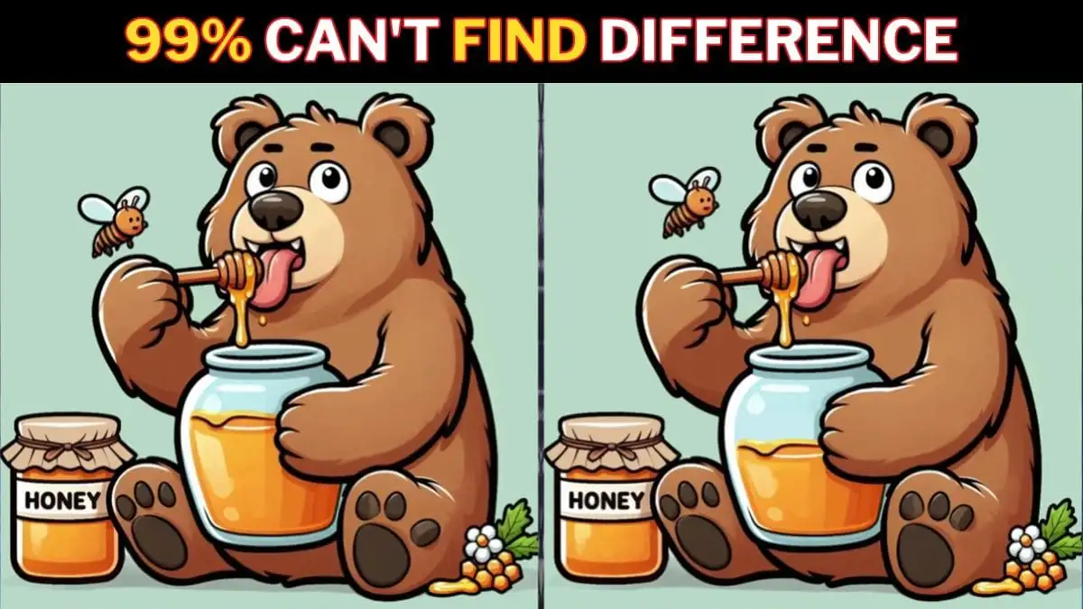 Spot the Difference Game: Only a genius with Hawk eyes can find the 3 Differences in this Bear Eating Honey Picture in 12 Secs