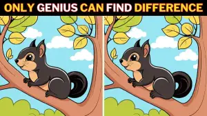 Spot the Difference Game: Only Geniuses Can Spot the 3 Differences in this Squirrel Image in 10 Secs