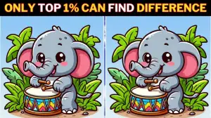 Spot the Difference Picture Puzzle Game: Only highly intelligent individuals can spot 3 differences in this Elephant Image in 10 seconds. Can you?