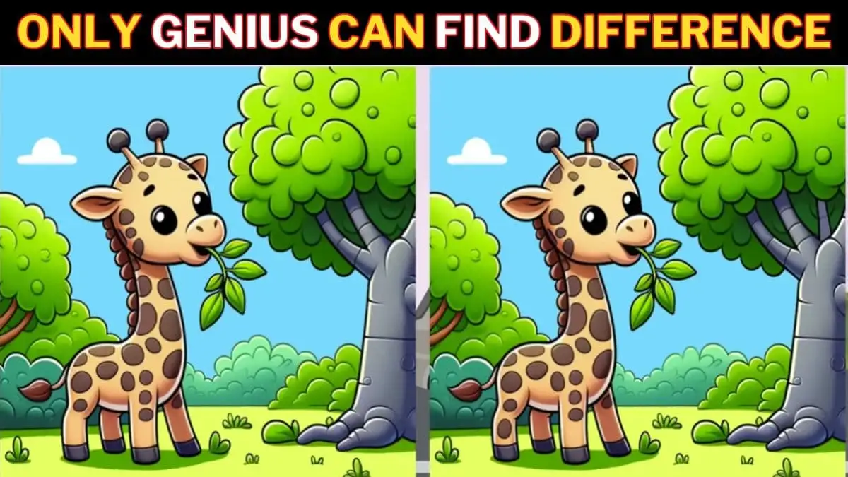 Spot the Difference Picture Puzzle Game: Only those with a high IQ can spot the differences in these Giraffe pictures within 12 Seconds