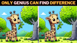 Spot the Difference Picture Puzzle Game: Only those with a high IQ can spot the differences in these Giraffe pictures within 12 Seconds