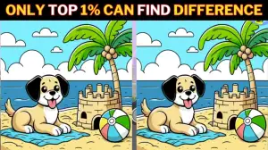 Spot the Difference Picture Puzzle: Only high-definition eyes Can Spot the 3 differences in this Dog Picture in 15 Secs