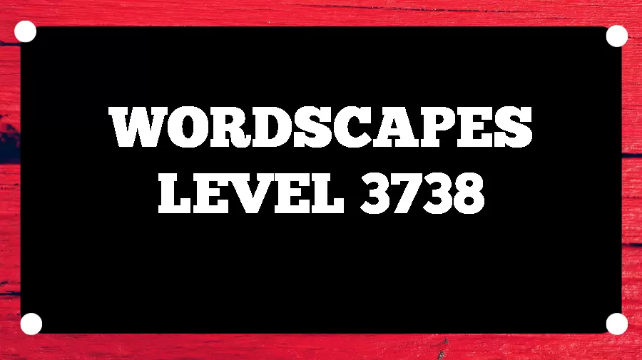 Wordscapes Puzzle 3738 What is the Answer for Wordscapes Level 3738?