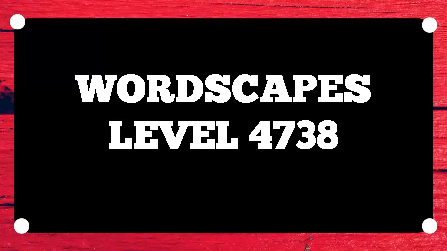 Wordscapes Puzzle 4738 What is the Answer for Wordscapes Level 4738?